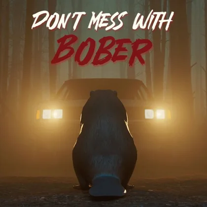 Don't Mess With Bober cover art