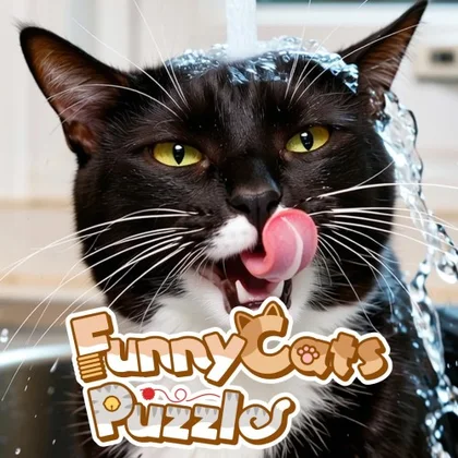 Funny Cats Puzzle cover art