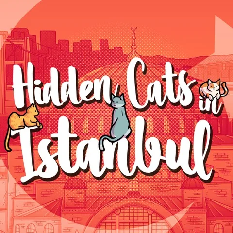 Hidden Cats in Istanbul cover art