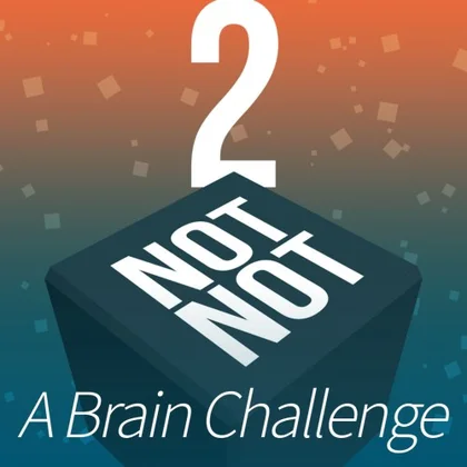 Not Not 2 - A Brain Challenge cover art