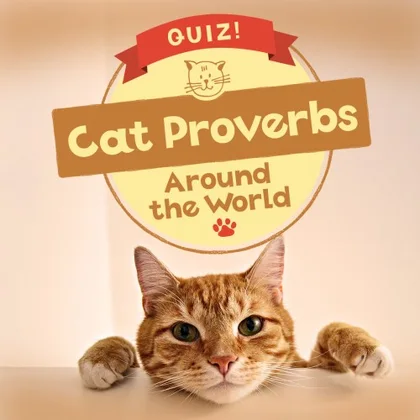 QUIZ! Cat Proverbs Around the World cover art