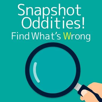 Snapshot Oddities ! Find What’s Wrong cover art