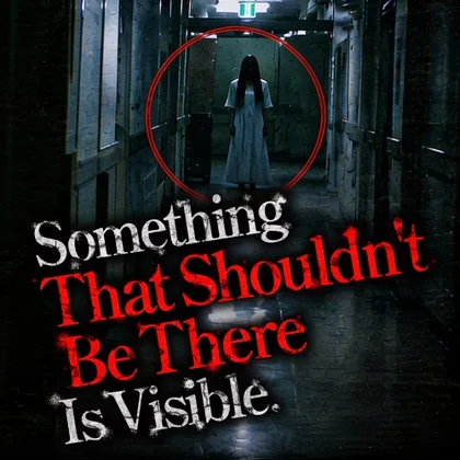 Something That Shouldn't Be There Is Visible. cover art