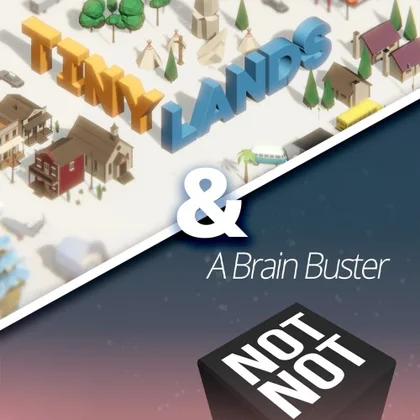 Tiny Lands & Not Not - A Brain Buster cover art