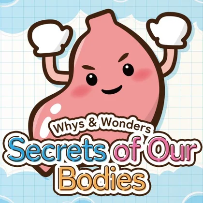 Whys & Wonders Secrets of Our Bodies cover art