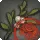 Approved Grade 4 Skybuilders' Mistletoe
