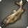 Grilled Urqotrout
