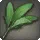Rarefied Windsbalm Bay Leaf