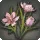 Fragrant Steppe Wildgrass