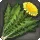 Dandelion