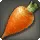 Gyr Abanian Carrot