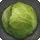 Highland Cabbage