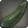 Fibrous Melon