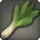 Island Leek