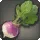 Magma Beet