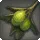 Steppe Candyfruit