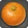 Navel Orange