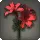 Red Brightlilies