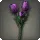 Purple Tulips