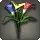 Rainbow Arums