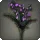 Purple Lilies of the Valley