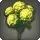Yellow Hydrangeas