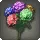 Rainbow Hydrangeas