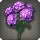 Purple Hydrangeas