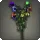 Rainbow Campanulas