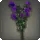 Purple Campanulas