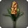 Orange Hyacinths