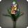 Rainbow Hyacinths
