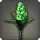 Green Hyacinths