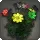 Rainbow Cosmos