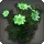 Green Cosmos