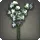 White Sweet Peas