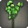 Green Sweet Peas
