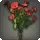 Red Morning Glories