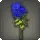 Blue Chrysanthemums