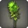 Green Chrysanthemums