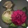 Dahlia Bulbs