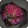 Ruby-spotted Crab