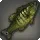 Striped Peacock Bass