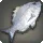 Platinum Bream