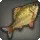 Golden Shiner