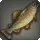 Niikwerepi Trout