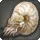 Nautilus