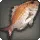 Bianaq Bream