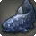 Coelacanth