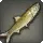 Fullmoon Sardine